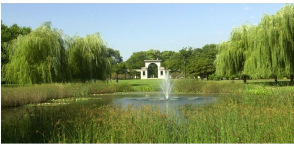 Perfect Place To Enjoy The City Or Just Relax شيكاغو المظهر الخارجي الصورة